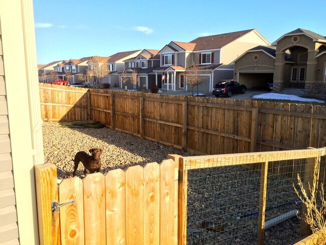 Foto del edificio - Parade of Homes Winner – Upgraded 4BD/3BA ...