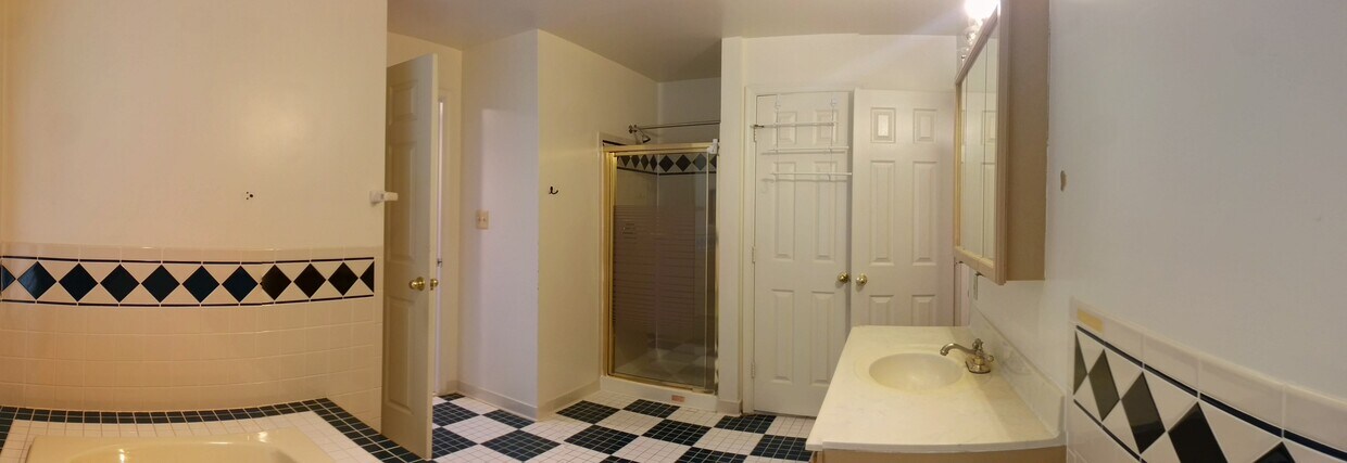 Master bath with separate shower and Jacuzzi tub! - 11915 Harmony Lane