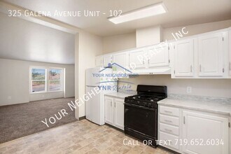 Building Photo - 325 Galena Ave