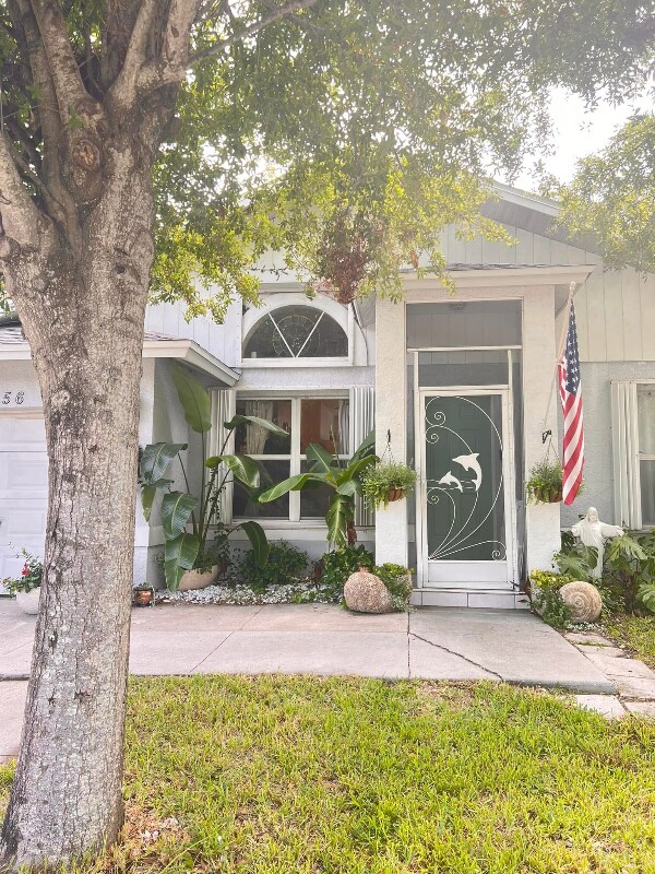 Primary Photo - 15856 49th St N