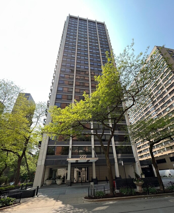 222 E Pearson St Unit 1107, Chicago, IL 60611 Condo for Rent in