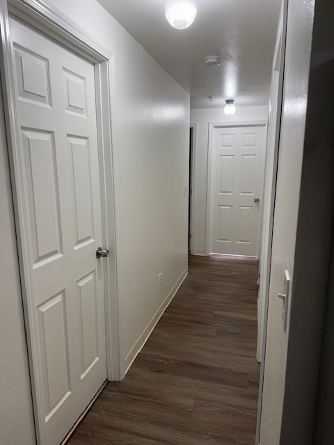 NEW LVT Flooring in Hallway. New Doors and Carpeting in Bedrooms - 127 100th St S