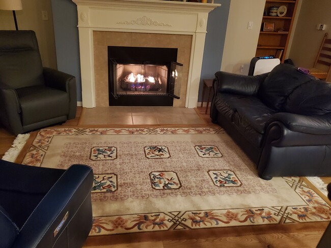 Living room with gas fireplace - 3872 S Lake Dr