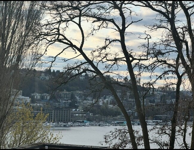 Foto del edificio - Aloha