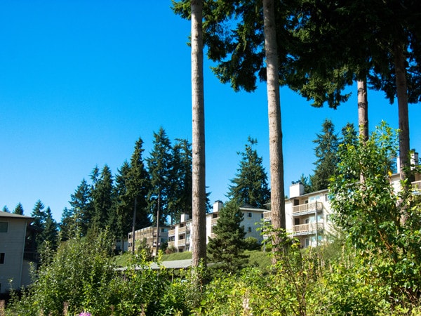 Cliffside Apartments Gig Harbor Wa Building Photo Cliffside
