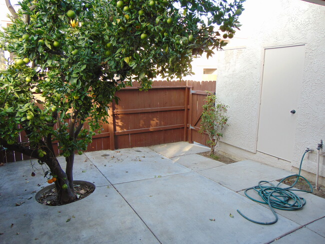 Backyard - 1243 Prairie Dog Cir