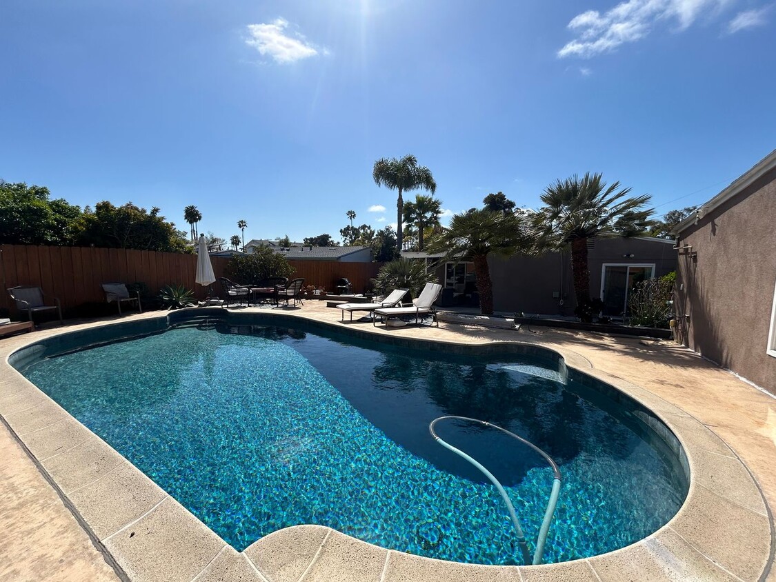 Primary Photo - 3 Bed, 1 Bath in Clairemont with a Pool!