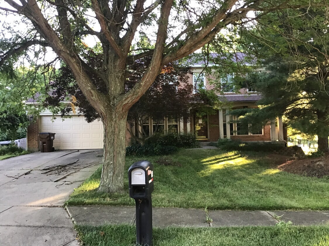 704 Lakefield Drive House Rental in Independence, KY