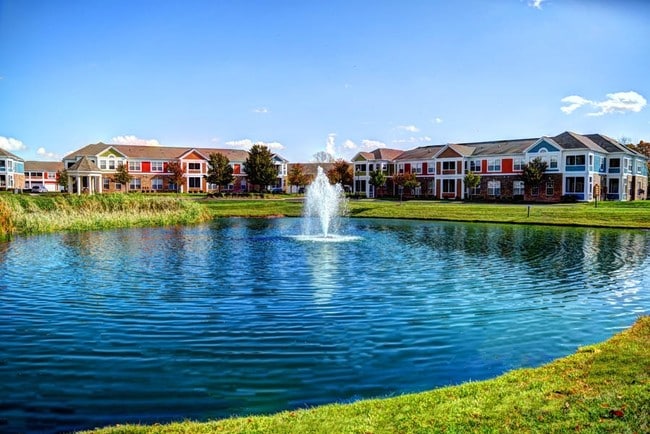 View - Austin Springs