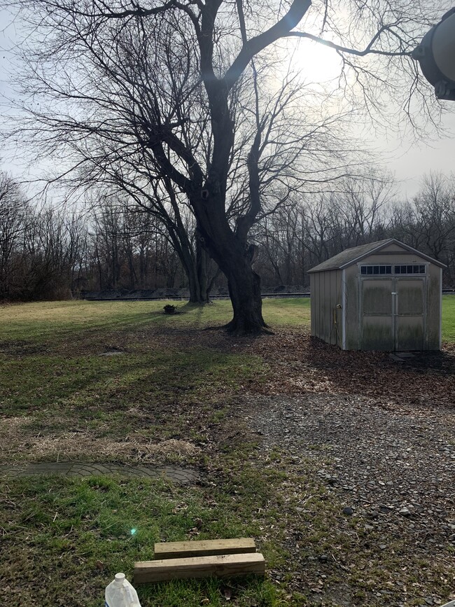 Backyard with storage. - 268 Monroe St