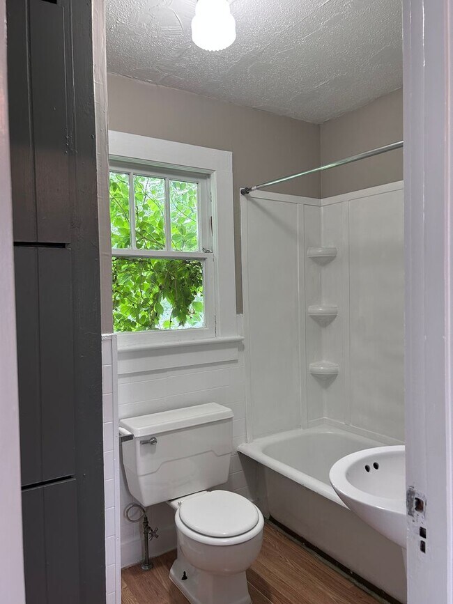 Foto del edificio - One Bedroom Apartment in Ringgold GA
