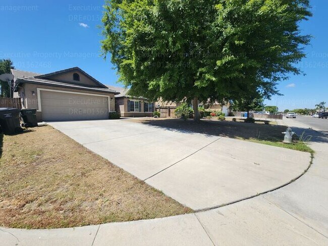 Foto del edificio - 5 bedrooms/ 2 baths Location Olive Dr/ Old...