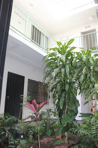 Building Photo - Park Vista