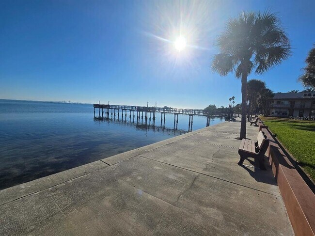 Foto del edificio - 650 Pinellas Point Dr S