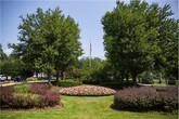 Foto principal - 10500 Rockville Pike