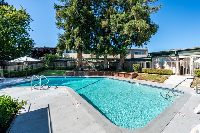 Pool - Newell Vista