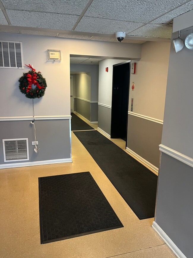 6238 W 26th St Unit 504, Berwyn, IL 60402 Condo for Rent in Berwyn