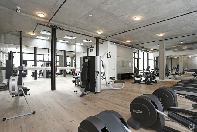 Gimnasio - Alchemy