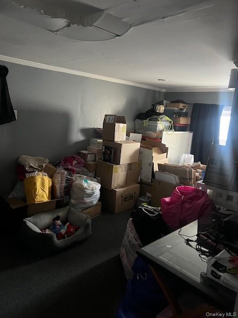 Foto del edificio - 66 Lee Ave