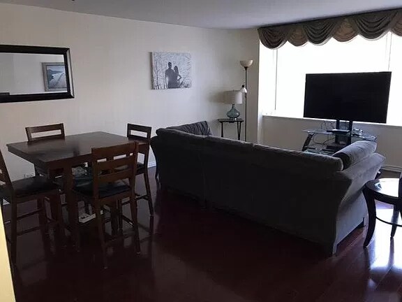 living room - 211 E Ohio St