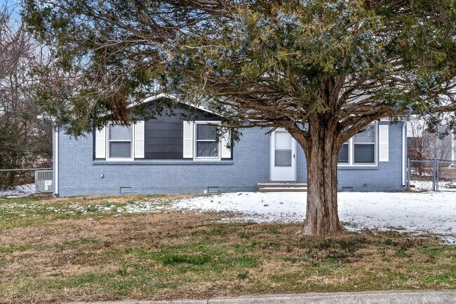 Building Photo - Newly Remodeled
