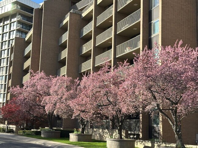 Foto del edificio - Gorgeous Penthouse in the heart of SLC!!!