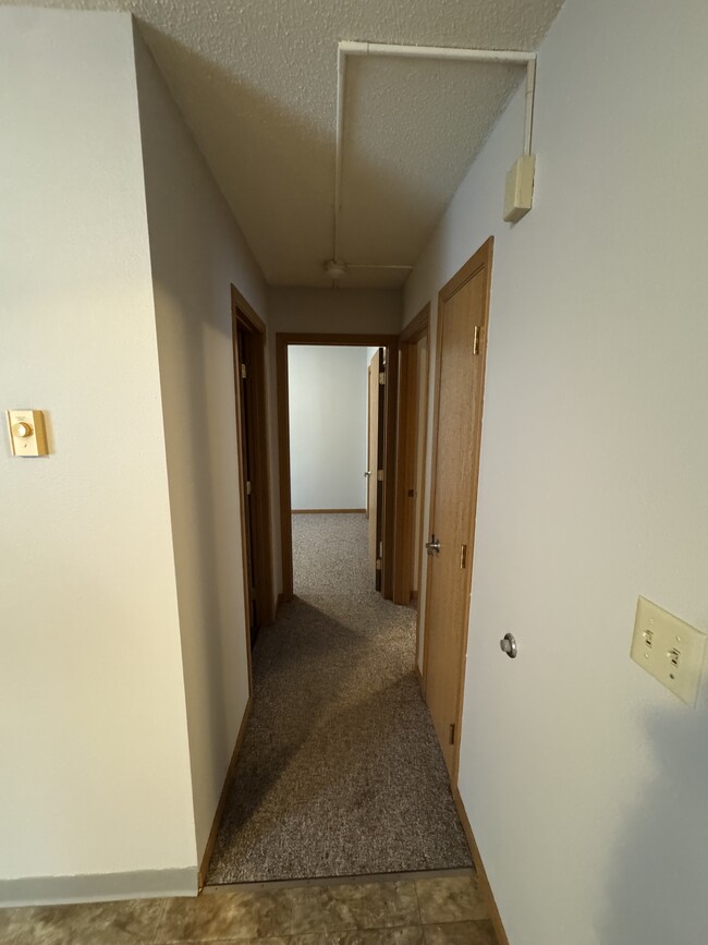 Hallway to bathroom and bedrooms - 1511 S Grand Plaza Dr