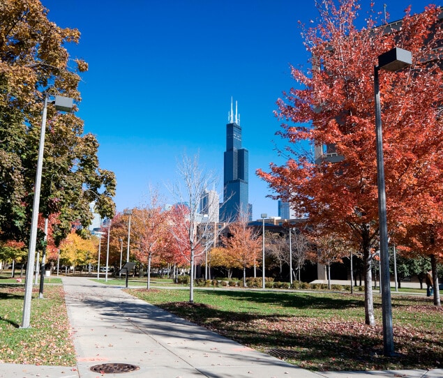 The UIC campus in the fall