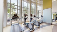 Located at 300 Alexander Ct in Philadelphia, PA, this well-appointed fitness center offers a spacious, single-floor layout designed to accommodate a comprehensive range of workout needs. The facility is immediately distinguished by its soaring ceiling height and a dramatic wall of floor-to-ceiling windows that flood the interior with abundant natural light while providing views of the surrounding greenery and cityscape.

The cardio zone features multiple treadmills, elliptical cross-trainers, and a rowing machine, all positioned to take advantage of the natural light streaming through the large window facade. Strength training is well-supported with a full selection of selectorized cable machines, a variety of weight benches, and multiple dumbbell racks stocked with a wide range of weights.

The flooring features a distinctive curved stripe design in neutral tones, guiding movement through the space and adding a dynamic visual element. Full-length mirrors line key sections of the walls, enhancing the sense of openness and allowing users to monitor their form. A bold geometric mural in blue, gold, and black anchors one end of the facility, providing an energetic focal point.

Glass-paneled doors open directly onto an outdoor terrace, seamlessly connecting the interior workout space with the exterior. Recessed lighting complements the natural light throughout, ensuring the facility remains bright and welcoming at all hours.