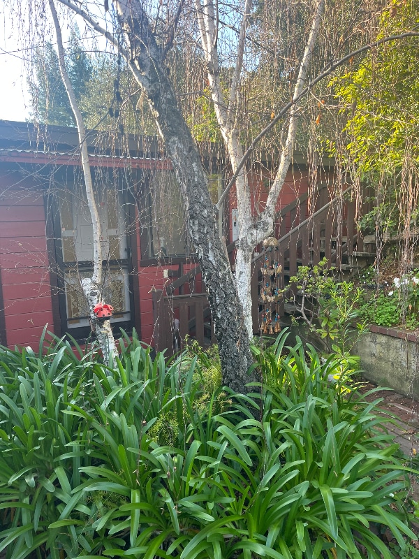 Building Photo - 2091 Sierra Way