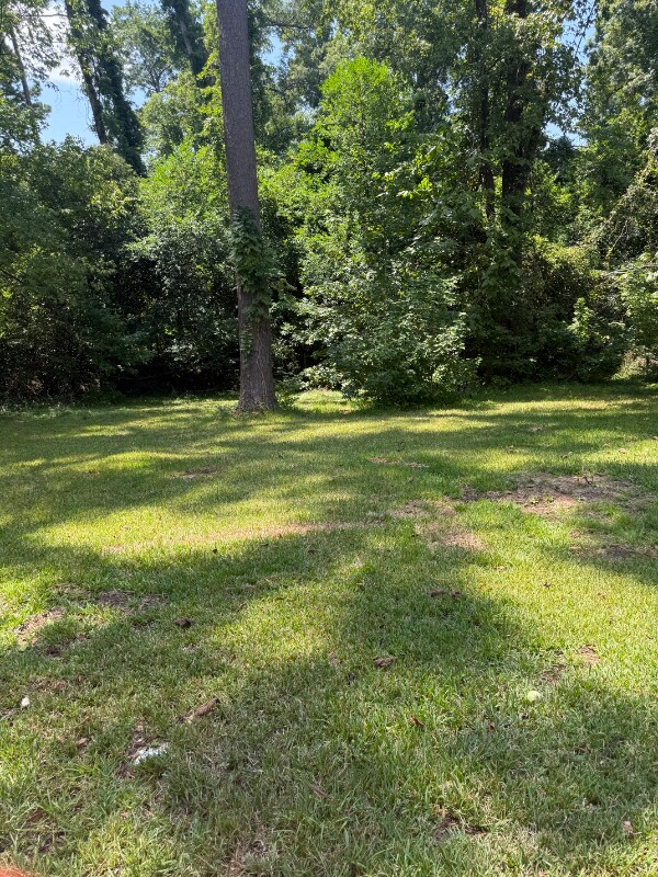 Foto del edificio - 4329 Brookridge Dr