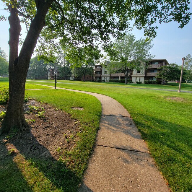 FRONT YARD - 1 Timber Ln