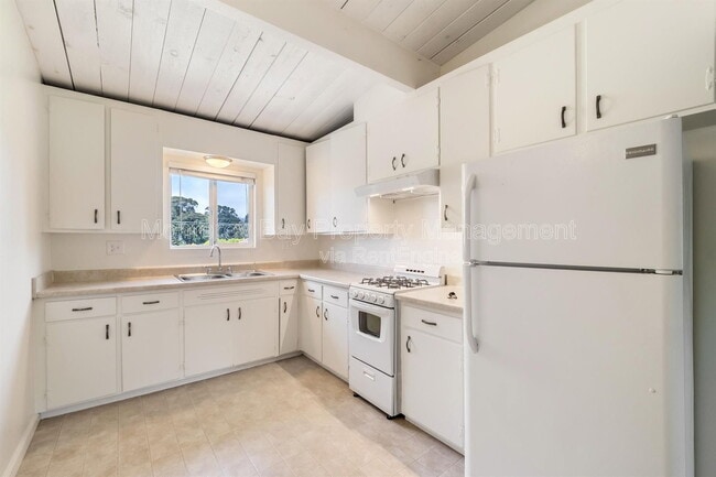 Building Photo - 1113 Fourth St