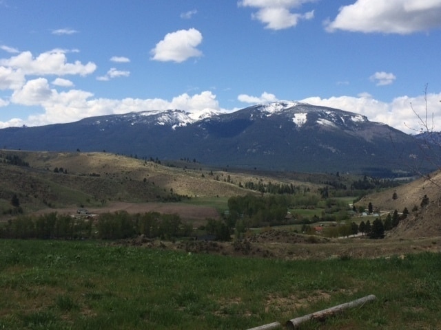 Building Photo - Custom cedar 3 bed 2.5 bath 83.46 acres, o...
