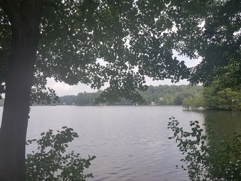 Primary Photo - 24 Pattison Ave