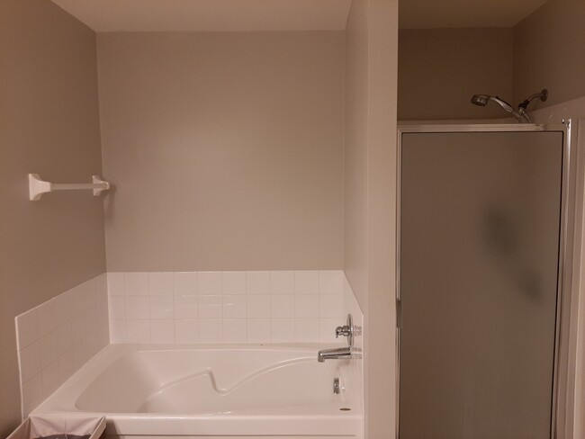 Main Bath Tub and standalone shower - 3767 Preserve Crossing Blvd