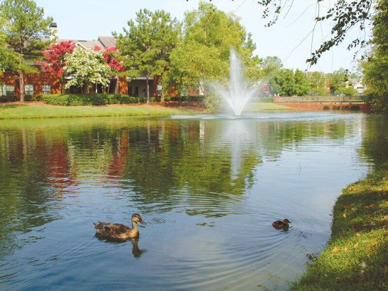 Foto principal - Vaughn Lakes
