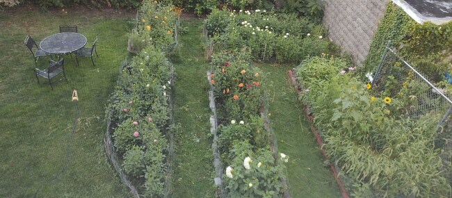 Vista del jardín trasero desde la ventana de la cocina - 42 Holyoke Rd