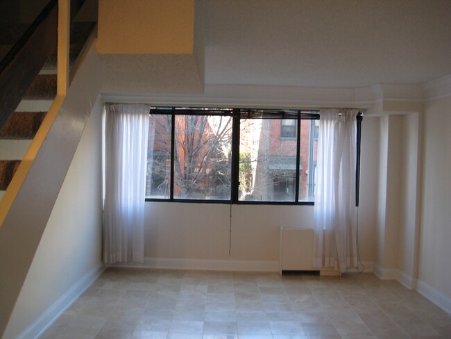 Living room - 1245 13th St NW