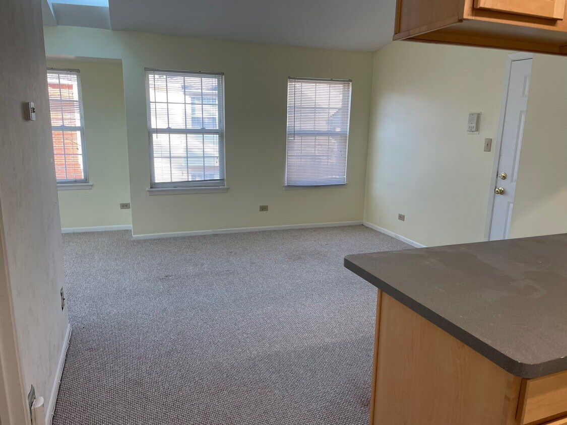 1301 Wyndham Dr Unit 205, Palatine, IL 60074 Condo for Rent in