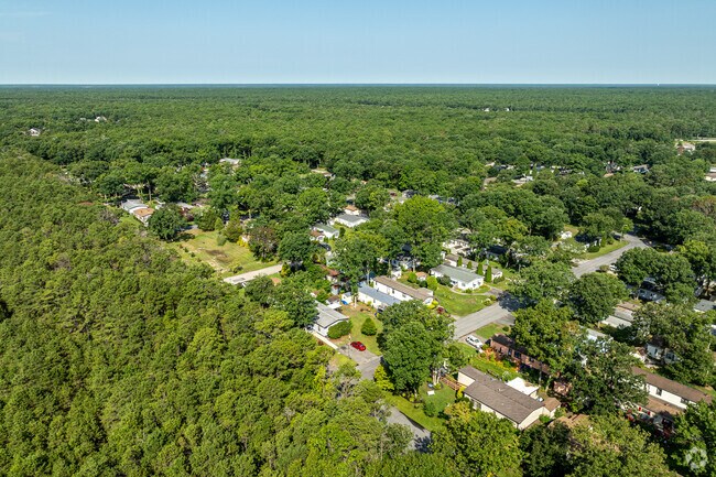 English Creek is a suburban neighborhood bordering forests and marshes in South Jersey.