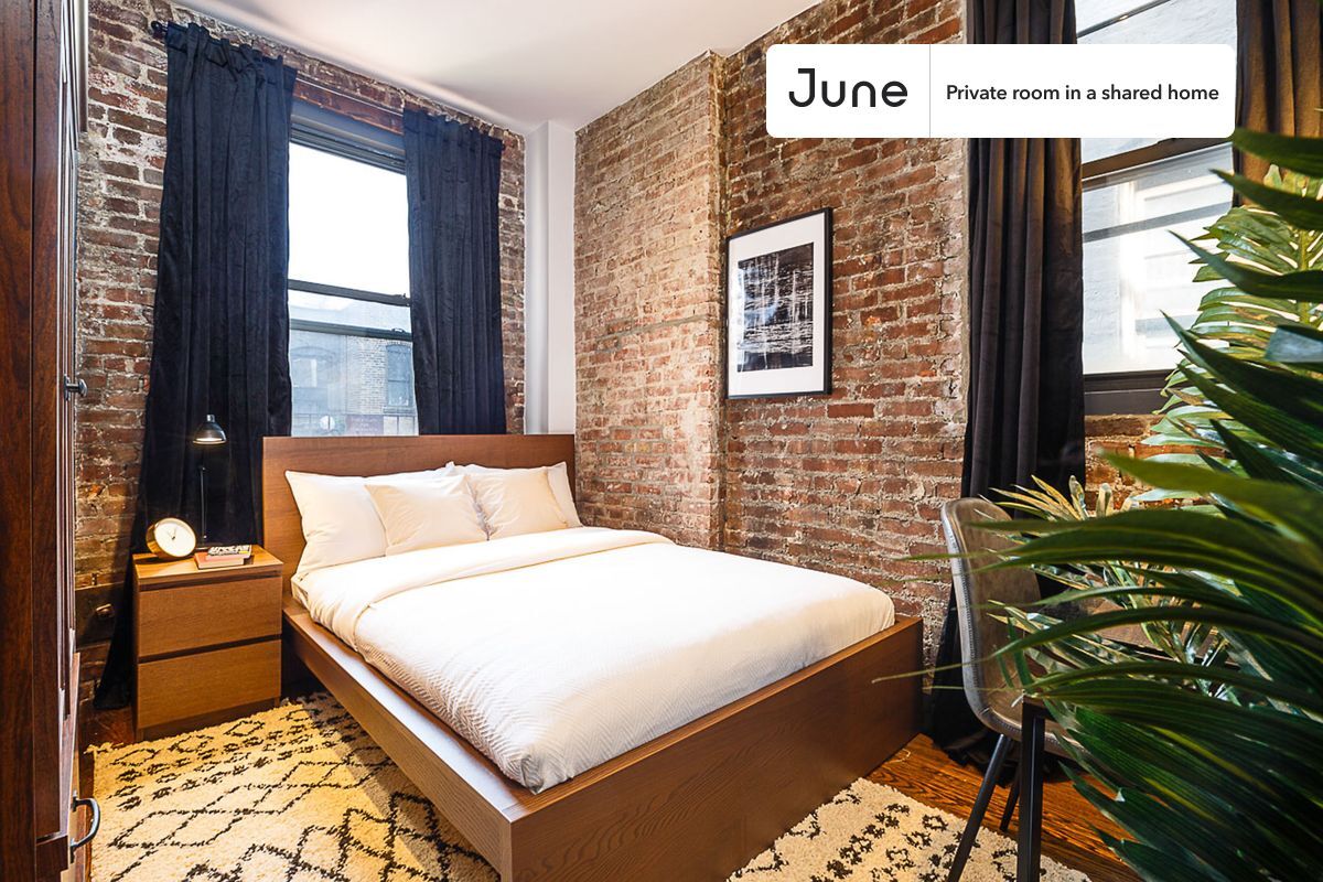 Private bedroom in 4 bed/2 bath Home - Private bedroom in 4 bed/2 bath Home