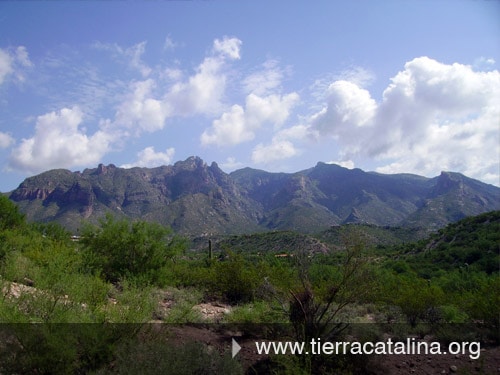 Building Photo - 6460 N Tierra de las Catalinas