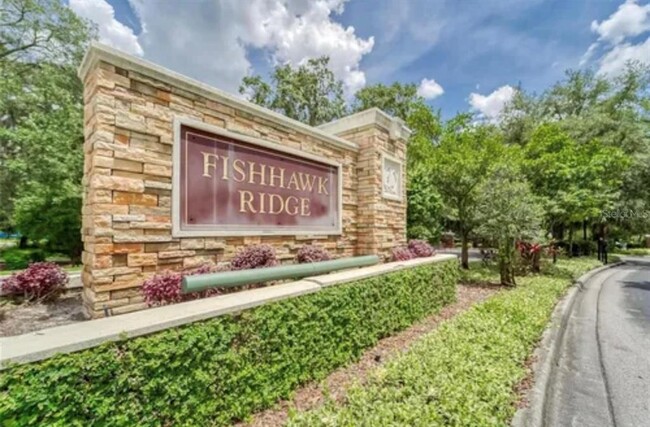 Foto del edificio - 15840 Fishhawk Falls Dr