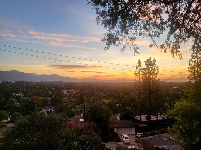 Muro de ventanas con vistas al amanecer - 300 Sequoia Dr
