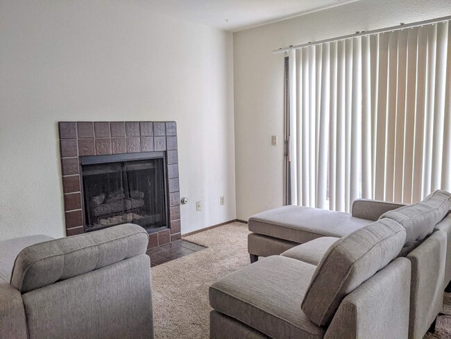 Living room - 155 Torrey Pine Ter