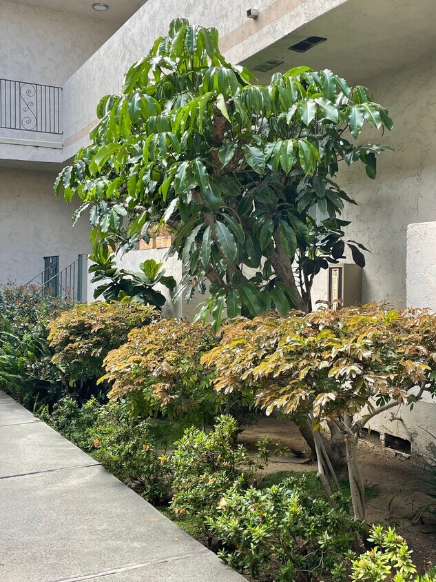 Foto del edificio - 10970 Palms Blvd