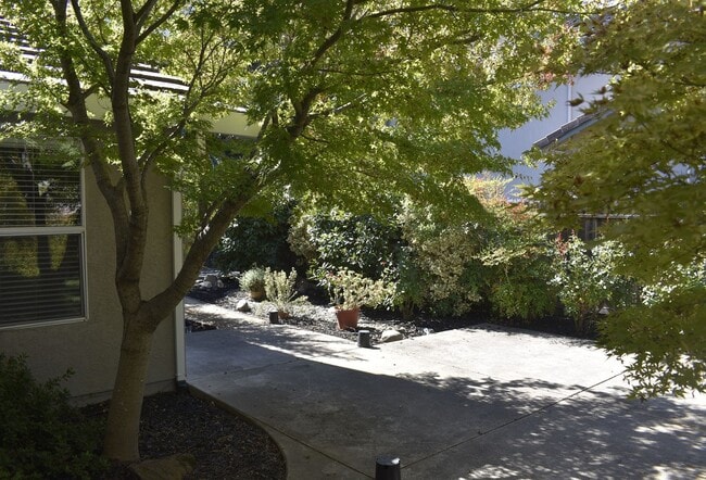 Building Photo - 156 Dulverton Cir