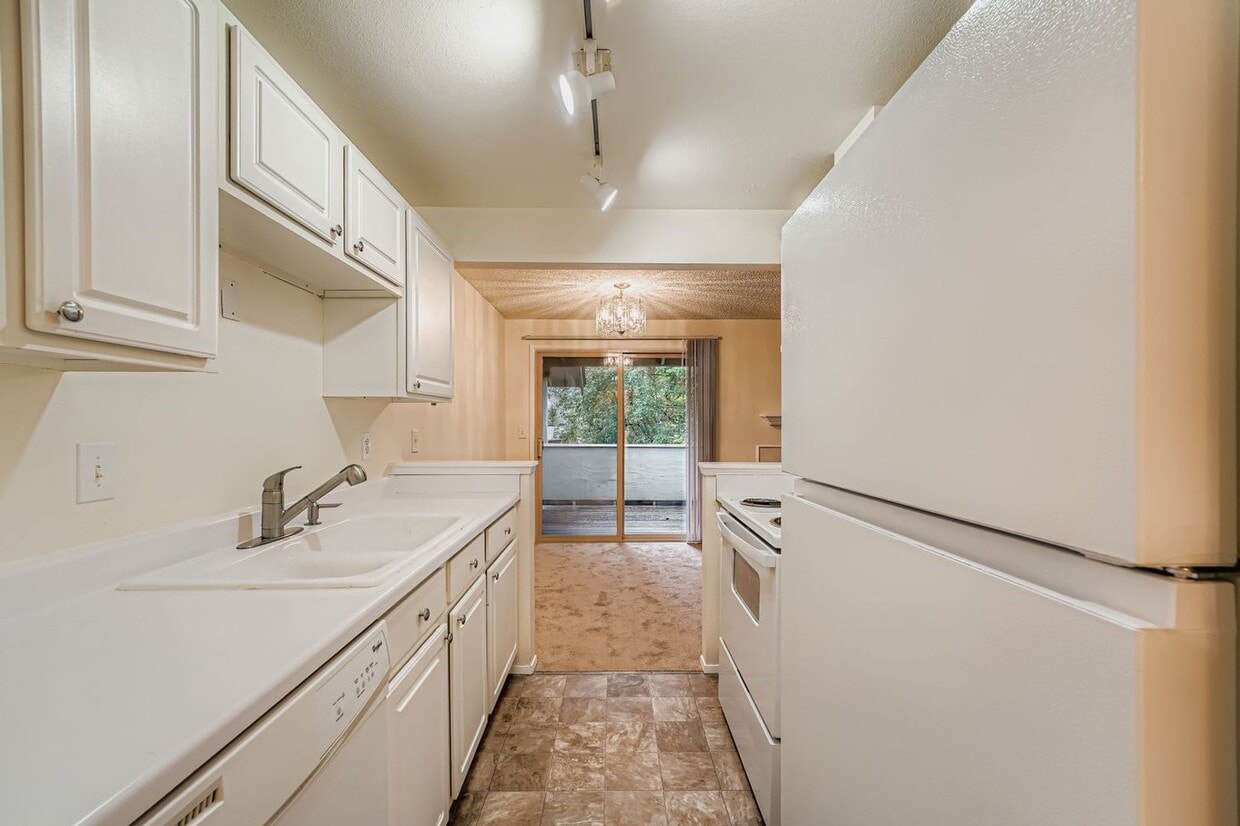 Primary Photo - Top-Floor 1Bed/1Bath Apartment in Federal ...