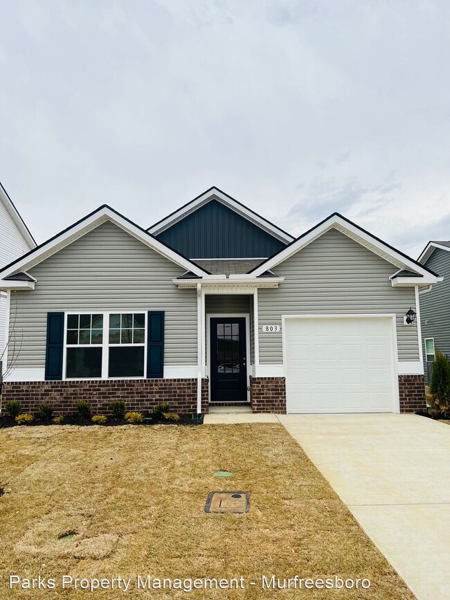 Building Photo - 3 br, 2 bath House - 803 Grand Station Blvd